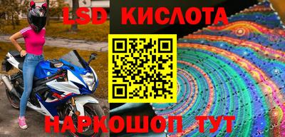 прущие грибы Донской