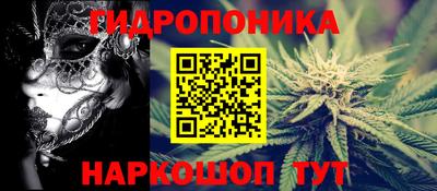 прущие грибы Донской