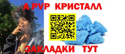 прущие грибы Донской