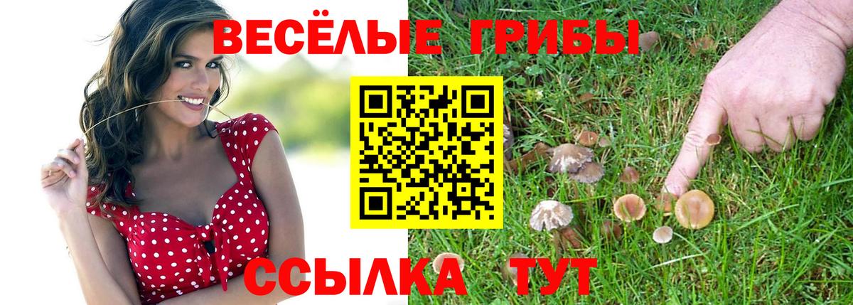 Учалы  Галлюциногенные грибы прущие грибы  Вход с VPN 